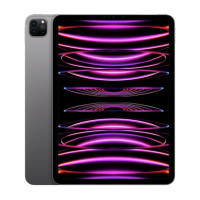 Apple iPad Pro 11" M2 Chip 256Gb Wi-Fi Space Gray 2022 (MNXF3)