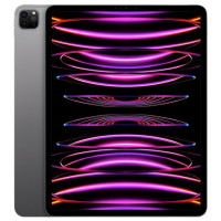 Планшет Apple iPad Pro 12.9" M2 Chip 256Gb Wi-Fi + 4G Space Gray 2022(MP603/MP203)