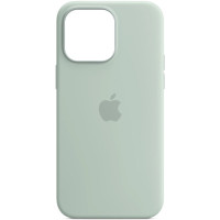 Чохол iPhone 14 Silicone Case with MagSafe succulent