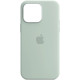 Чохол iPhone 14 Silicone Case with MagSafe succulent