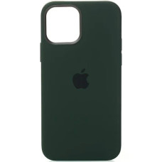 Чохол iPhone 12 Pro Max Silicone Case with MagSafe Cyprus green