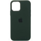 Чохол iPhone 12 Pro Max Silicone Case with MagSafe Cyprus green