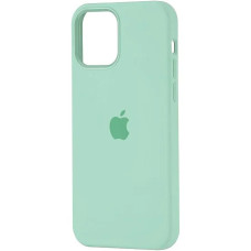 Чохол iPhone 12 Pro Max Silicone Case with MagSafe Pistachio