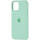 Чохол iPhone 12 Pro Max Silicone Case with MagSafe Pistachio