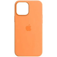Чохол iPhone 13 Pro Silicone Case with MagSafe Marigold
