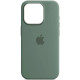 Чохол iPhone 15 Pro Max Silicone Case with MagSafe cypress