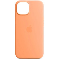 Чохол iPhone 15 Silicone Case with MagSafe orange sorbet