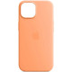 Чохол iPhone 15 Pro Max Silicone Case with MagSafe orange sorbet