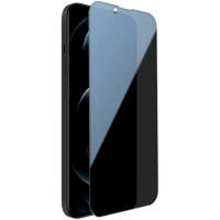 Захисне скло iPhone 16 Pro Мах Privacy Mossily black