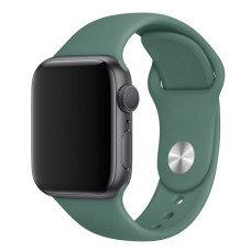 Ремінець Apple watch 38/40/41/42 Series 10/mm Sport Band Pine green (S)