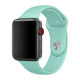 Ремінець Apple watch 38/40/41/42 Series 10/mm Sport Band Marine Green (S)