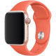 Ремінець Apple Watch 42/44/45/46/49 mm Sport Band Apricot (S)