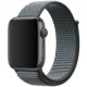 Ремінець Apple watch 38/40/41/42 Series 10/mm Nylon Sport Loop Gray