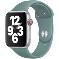 Ремінець Apple watch 38/40/41/42 Series 10/mm Sport Band cactus M