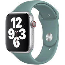Ремінець Apple Watch 42/44/45/46/49 mm Sport Band Cactus (S)